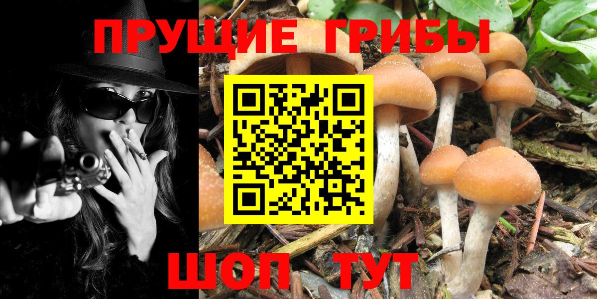 Экстази  ГАШИШ  Каменск-Уральский  МАРИХУАНА  Alpha-PVP СК кристаллы  Вход с VPN  Мефедрон  МЕФ кристаллы  LSD-25 