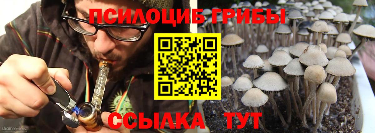 Галлюциногенные грибы Cubensis Каменск-Уральский